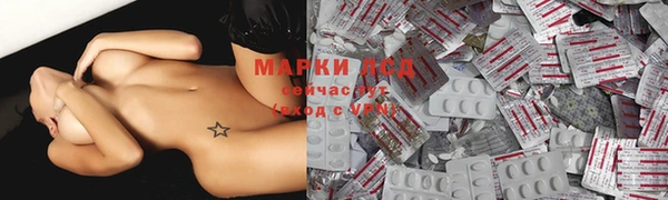 ECSTASY Алзамай