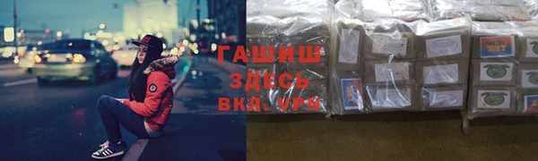 ECSTASY Алзамай
