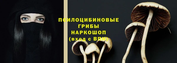 амфетамин Алексеевка