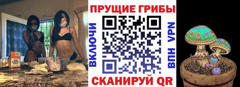 Галлюциногенные грибы MAGIC MUSHROOMS  Пласт 